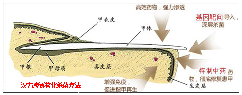 ���ݱ���Ƥ����