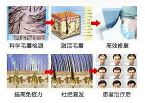 ���ݱ���Ƥ����