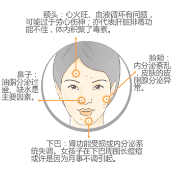 ���ݱ���Ƥ����