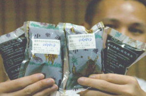 ���ݱ���Ƥ����