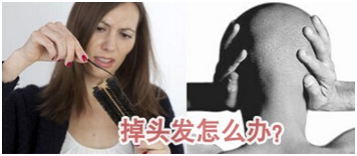 ���ݱ���Ƥ����