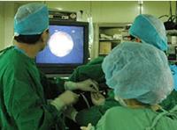 ���ݱ���Ƥ����