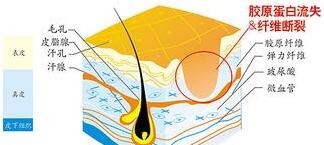 ���ݱ���Ƥ����